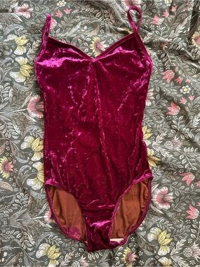Wine Velvet Eleve Leotard
